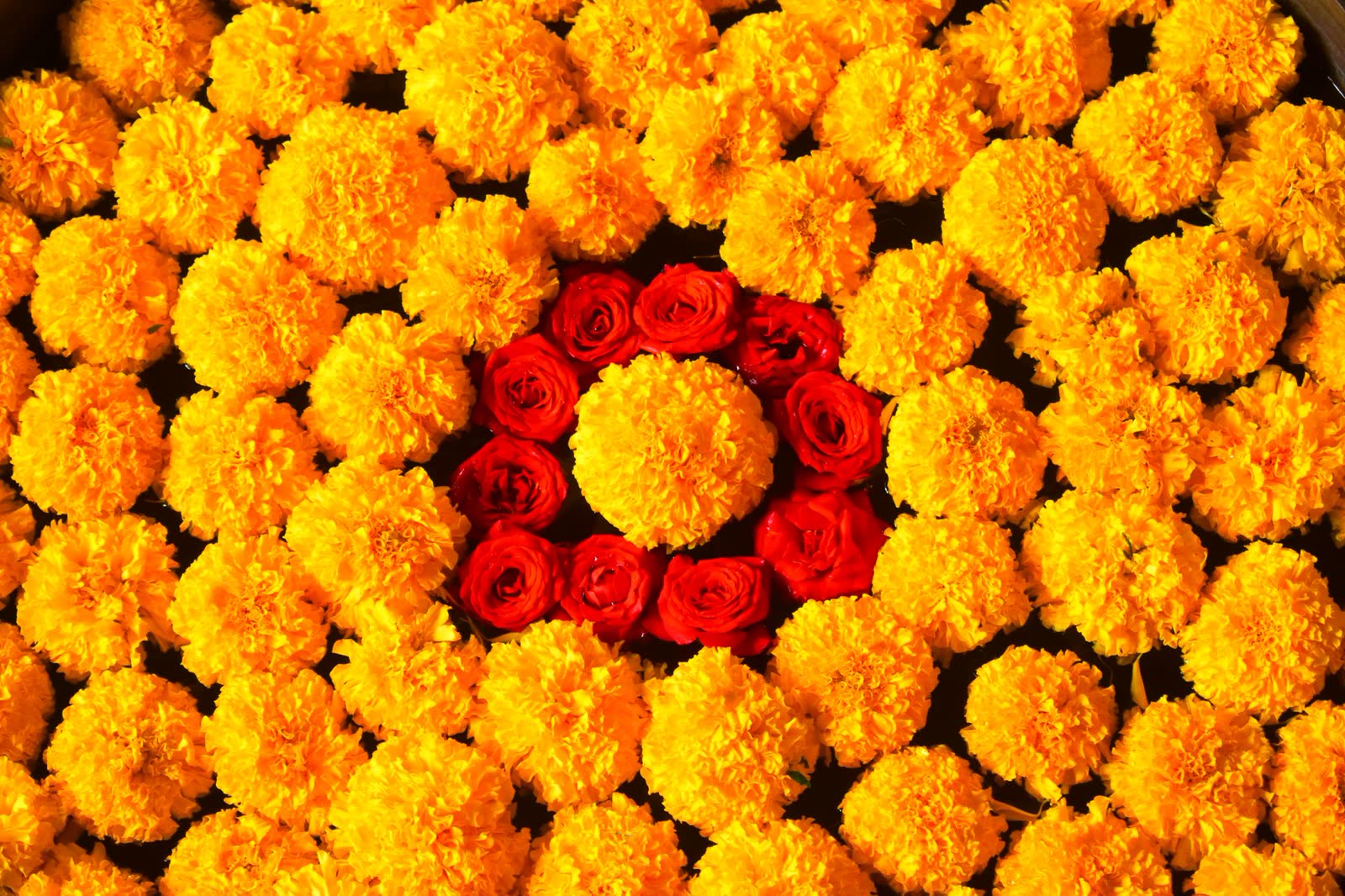 A flower kolam of marigolds and red roses
